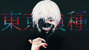 снимки на Tokyo Ghoul — Tokyo ghoul GIF Тапет