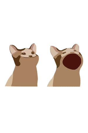 Сладкозлобни котки — Котка Тапет