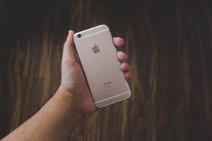 Ръка, държаща розово-златен iPhone 6 тапет — iPhone Se Тапет
