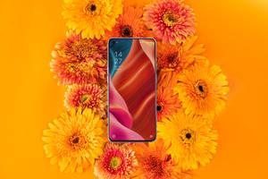 Смартфон Oppo и буйство на флора — Oppo Тапет