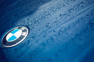 Близък план тапет на логото на BMW върху синя кола с капки