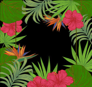 Листа Arecaceae Дърво Тапет Палмови листа Рамка - Граници Листа Зелени с Цветя, HD PNG Изтегляне