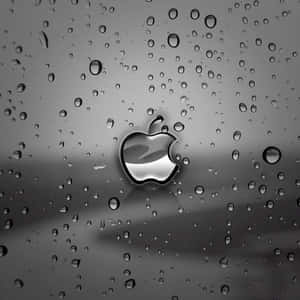 Тъмно сладък iPad