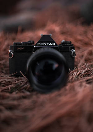Снимка на черен фотоапарат Pentax на тапет с птиче гнездо. — OnePlus Pad Тапет