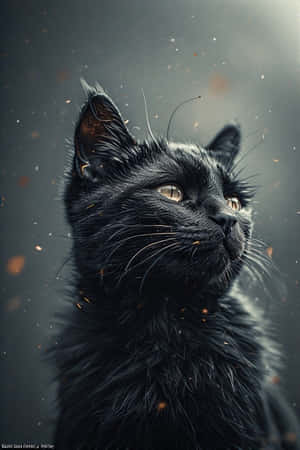 фотореалистично, черна котка, кинематографично, дигитално изкуство, Коте изкуство, любители на котки, тапети — iPhone 4 Тапет