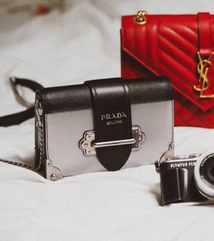 Тапет на чанти Prada и YSL — Oppo Find N5 Тапет
