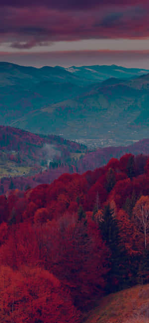 Red Tree — Redmi Note 14S Тапет