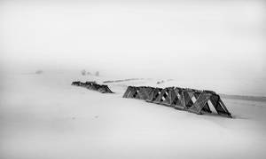 Тапет за черно-бяла студена фотография